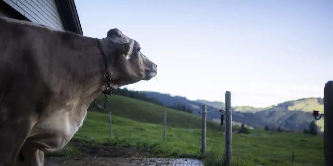 nationalrat landwirtschaft