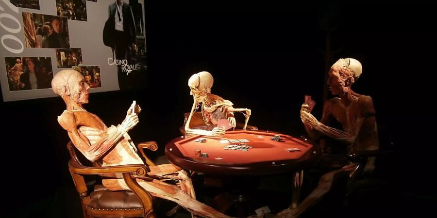 Die Anatomieschau «Körperwelten» kehrt nach über 10 Jahren nach Zürich zurück. Inhaltlich hat sie sich der Zeit angepasst.