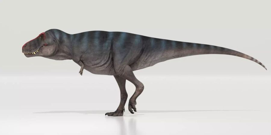 Tyrannosaurus rex