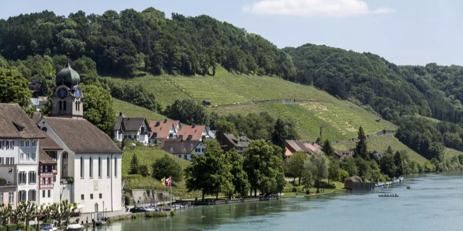 Rheinufer in Eglisau mit Blick auf die Rebberge.