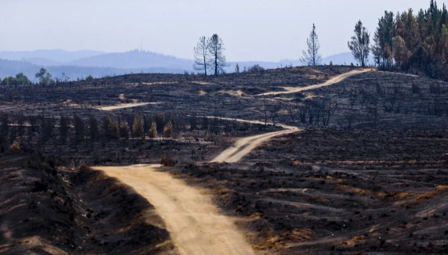 Die Flammen zerstörten vor allem im Süden des Landes grosse Waldflächen.