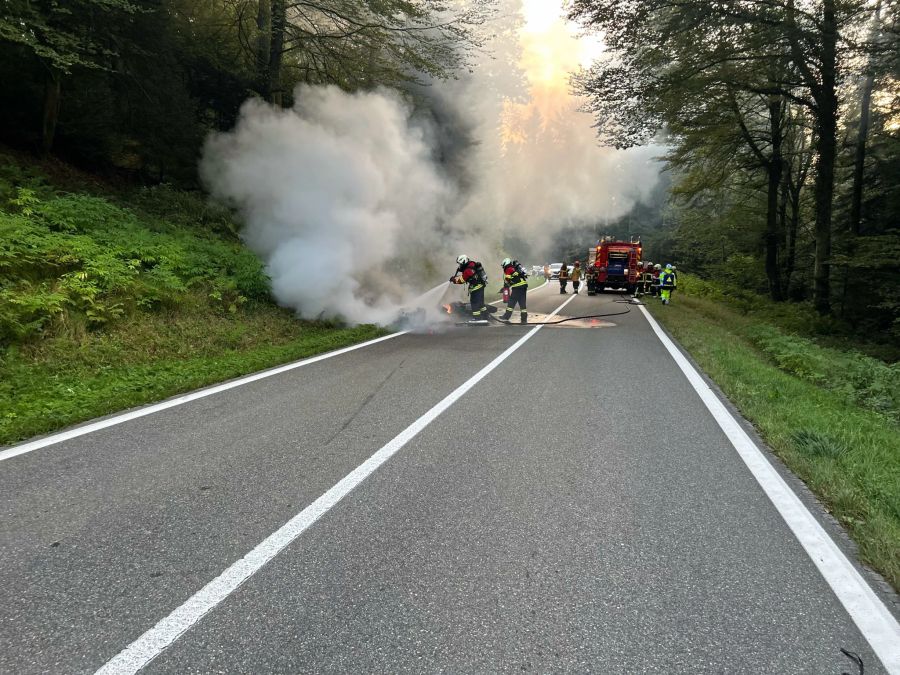 Feuerwehr löscht Fahrzeuge.