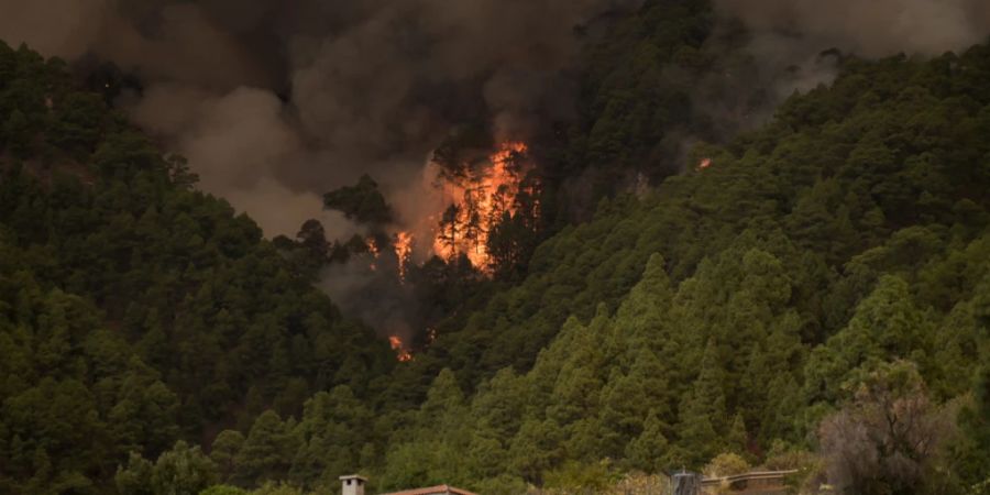 Der Wald brennt in der Nähe von Häusern. Foto: Europa Press/EUROPA PRESS/dpa