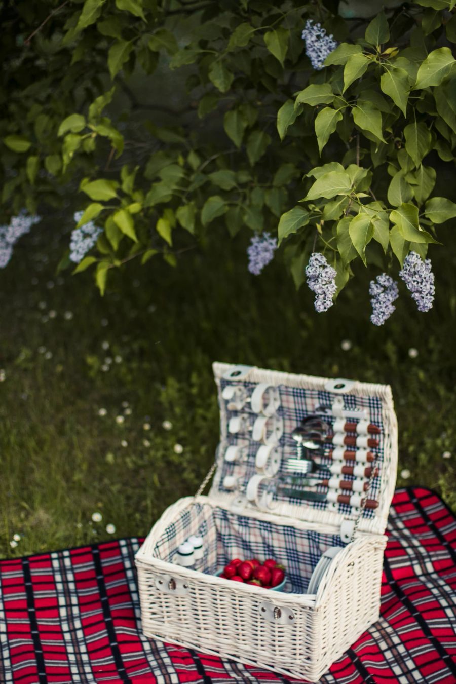 Der Vorfall geschah auf einem Picknickplatz. (Symbolbild)