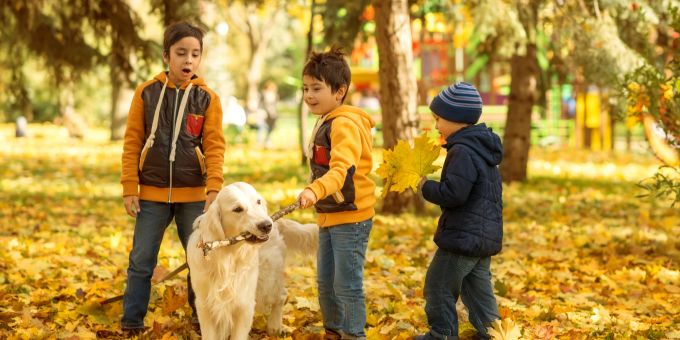 Ein Hund kann eine nonverbale Verbindung zwischen Kindern schaffen. Kinder spielen mit Hund