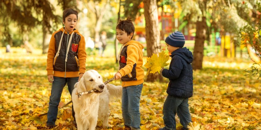 Kinder spielen mit Hund