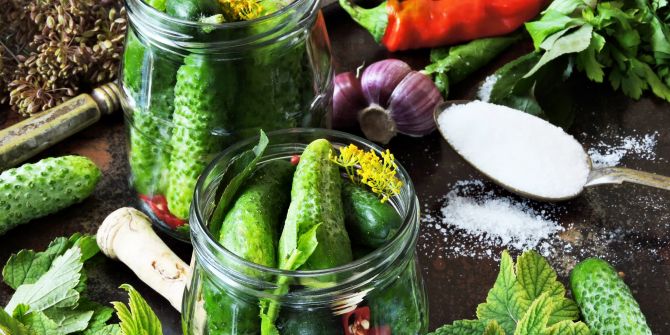 fermentierte nahrungsmittel in gläsern