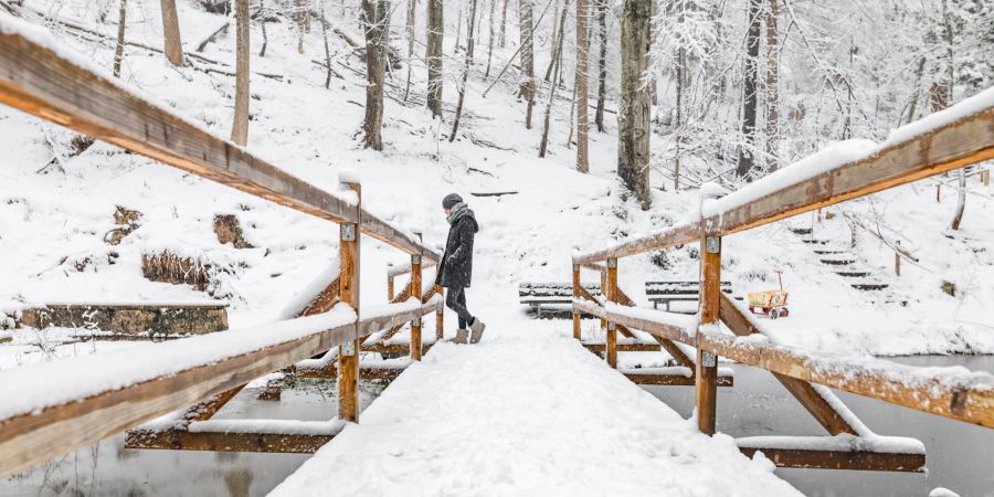 frau im winterwald