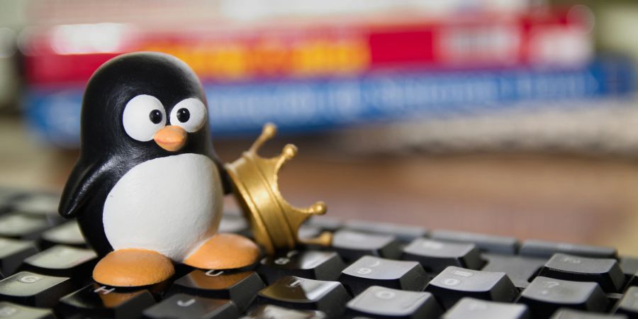 Der symbolische Pinguin von Linux steht als Plastikfigur auf einer Tastatur.