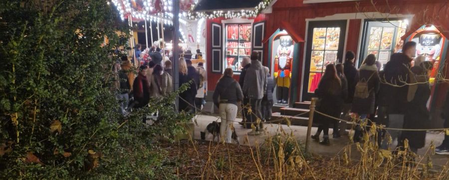 Für Tierschützer sind solche Bilder ein Graus: Eine Hundehalterin steht mit Vierbeiner mitten im Berner Sternenmarkt.