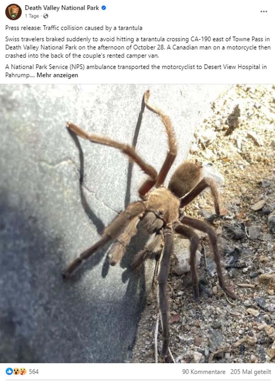 Die Verwalter des Nationalparks bestätigen den Unfall auf Facebook und posten ein Bild einer anderen Tarantel aus dem Death Valley.