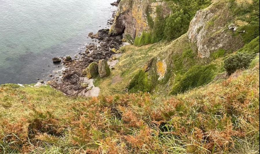 Der Strand, an welchem das Schaf wohnt, ist vom Land aus schwer erreichbar: Steile Flippen, Farne, Ginster und Zäune machen eine Rettung praktisch unmöglch.