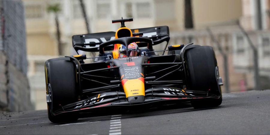 Formel 1 Max Verstappen