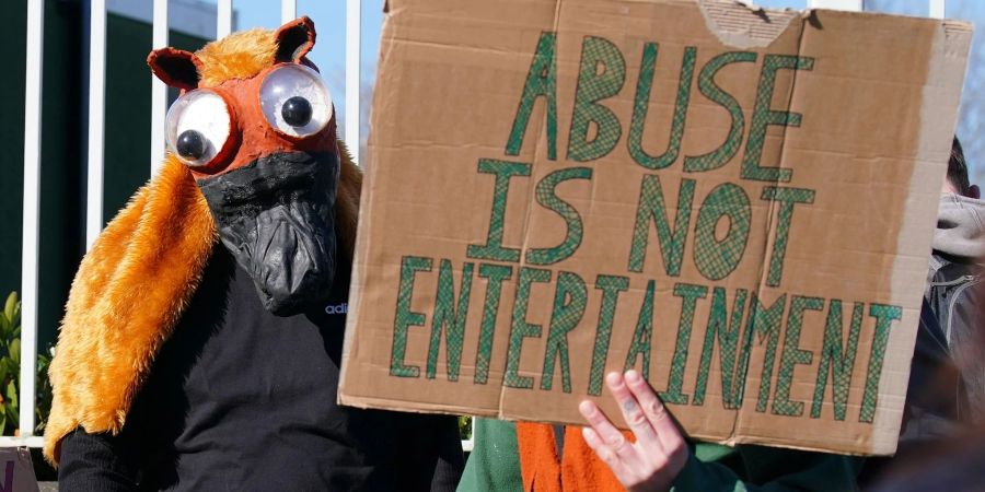 Tierschutz-Aktivisten protestieren gegen das Hindernisrennen in Aintree.