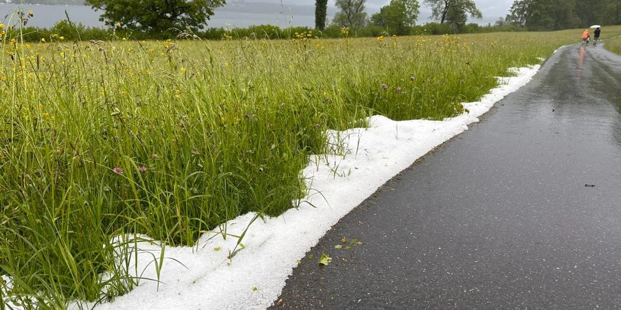 Hagel am Strassenrand in Ebmatingen ZH.