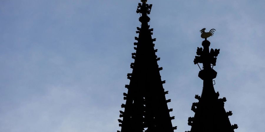 Zwei Türme des Freiburger Münsters.