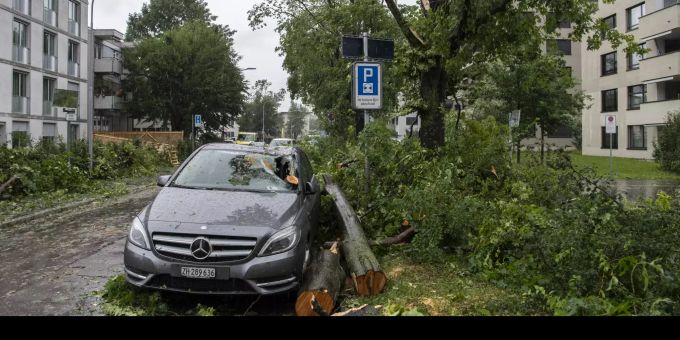 Umgestürzte Bäume und abgebrochene Äste nach einem schweren Unwetter in Zürich. zürich