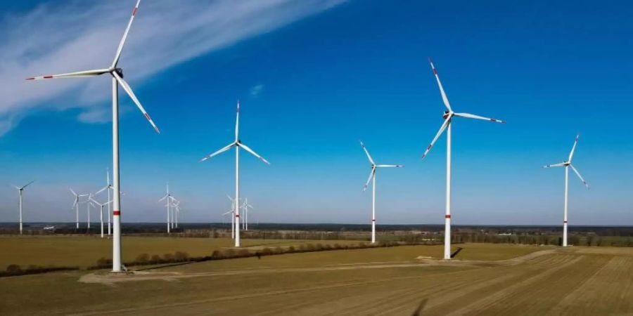 Insgesamt gibt es derzeit rund 30.000 Windräder in Deutschland. Foto: Patrick Pleul/dpa-Zentralbild/dpa