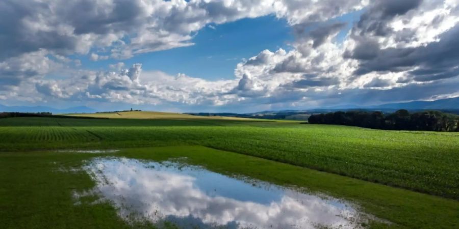 Ende Juni gab es in Westeuropa verbreitet kräftige Niederschläge