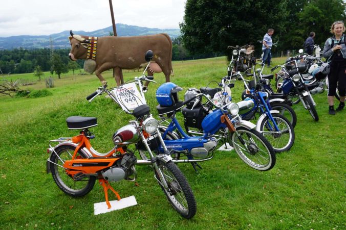 In einer Reihe: Töffli-Treffen.