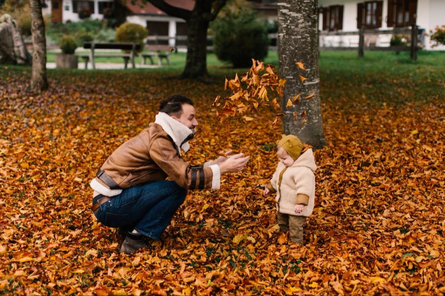 Herbst Garten