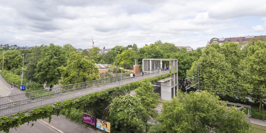 Die Fussgängerbrücke zum Zolli in Basel. Der Zoo liegt mitten in der Stadt im Bachletten am Fluss Birsig. Mit 7017 Tieren in 628 Arten besitzt er einen äusserst grossen Tierbestand.