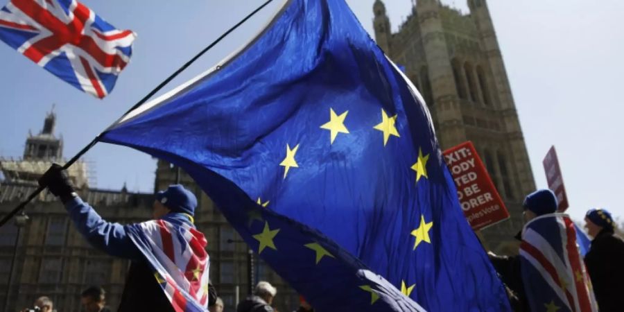 Pro-europäischer Demonstrant in London