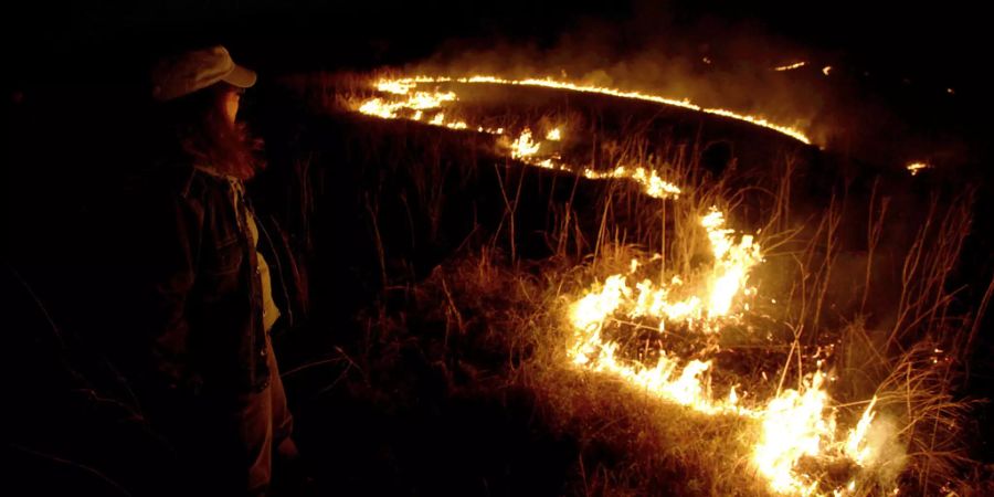 Flächenbrand