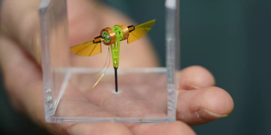 Mit Kolibris und Insekten als Vorbilder bauen die Forscher immer kleinere Flugmaschinen. Dieser Robo-Kolibri hier wiegt gerade mal 1 Gramm. Bild: Purdue University Mechanical Engineering