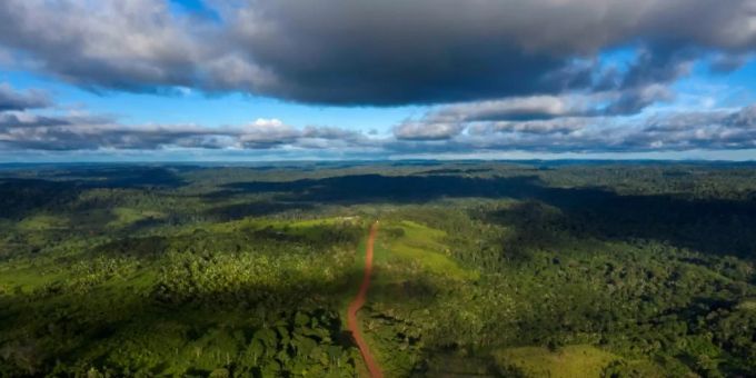 Tropischer Wald in Brasilien. amazonien