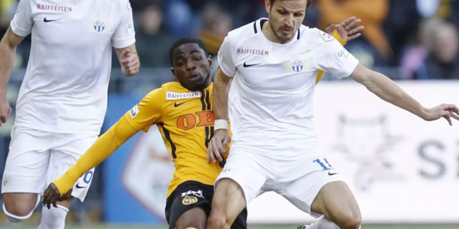 YB gegen FC Zürich