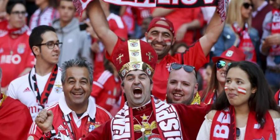 Zwei Benfica-Fans haben sich verirrt und sind ins falsche Frankfurt gefahren. Symbolbild: Tiago Petinga/LUSA Foto: Tiago Petinga