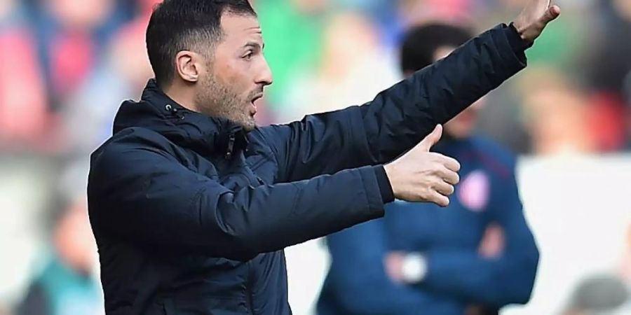 Schalke-Trainer Domenico Tedesco steht unter Druck. Foto: Torsten Silz