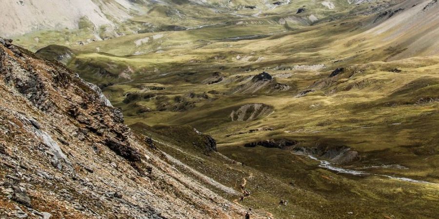 In Bhutan öffnet nach vielen Jahren ein berühmter Pfad.