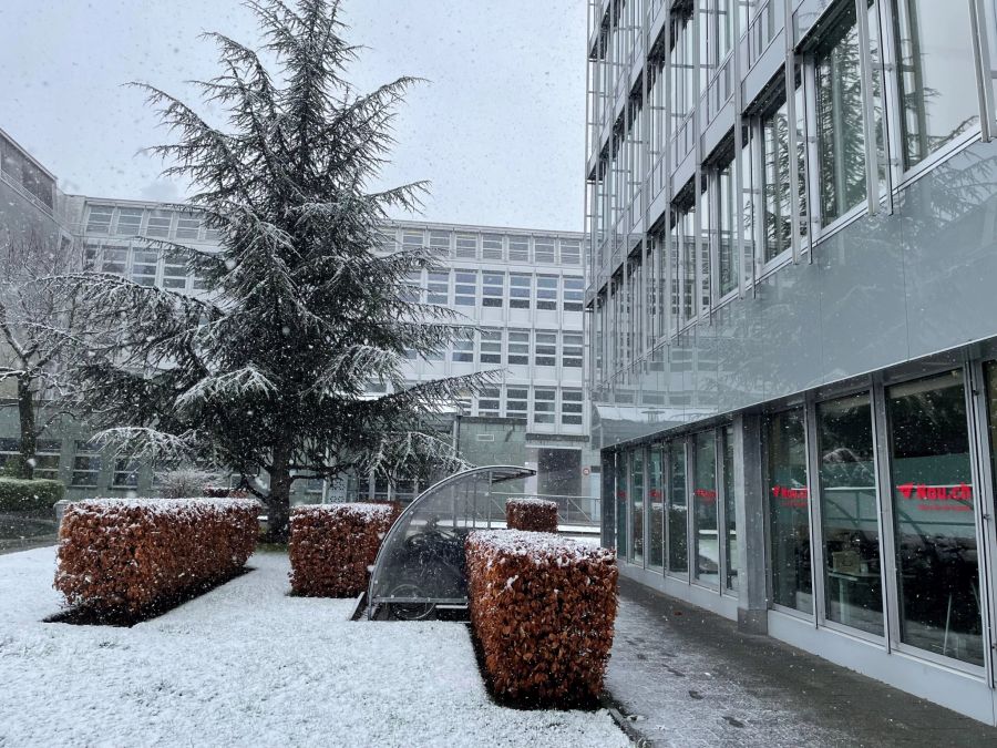 Und es sieht nicht so aus, als würden die Flocken weniger werden.