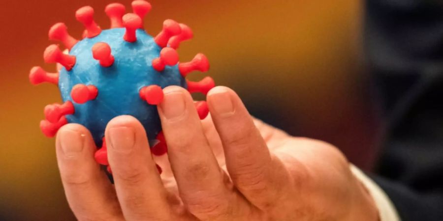 Modell des Coronavirus