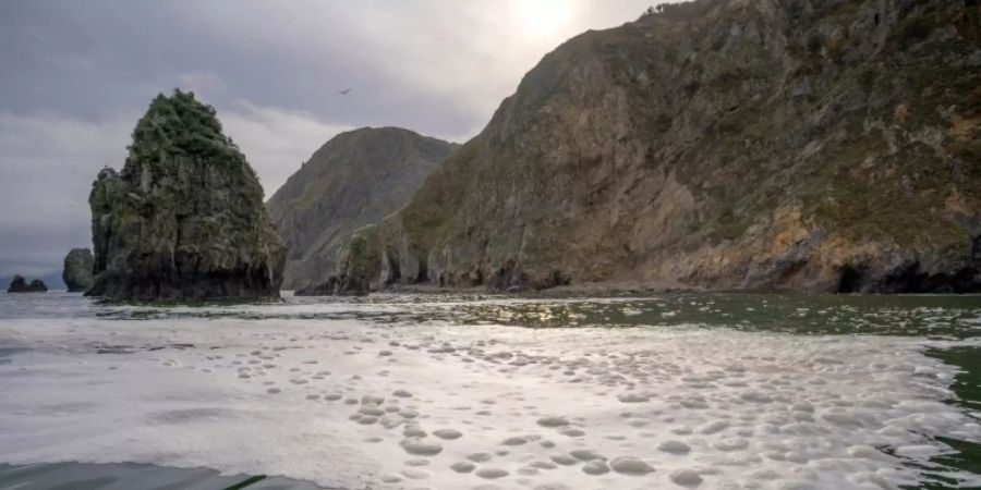 Verschmutztes Wasser vor Kamtschatka