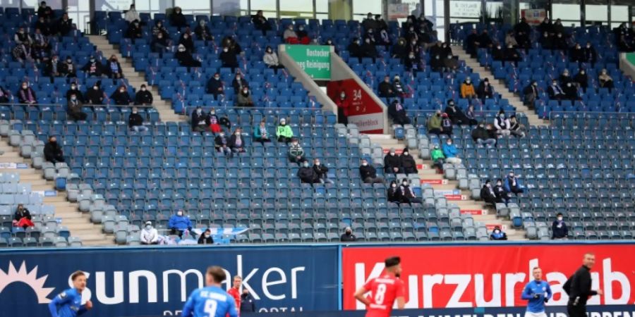 Fans im Stadion