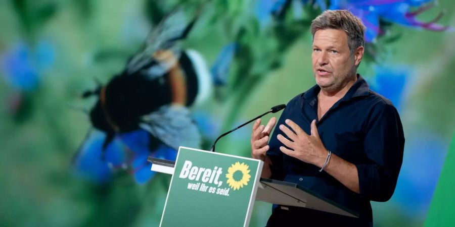 bündnis 90/die grünen Parteitag