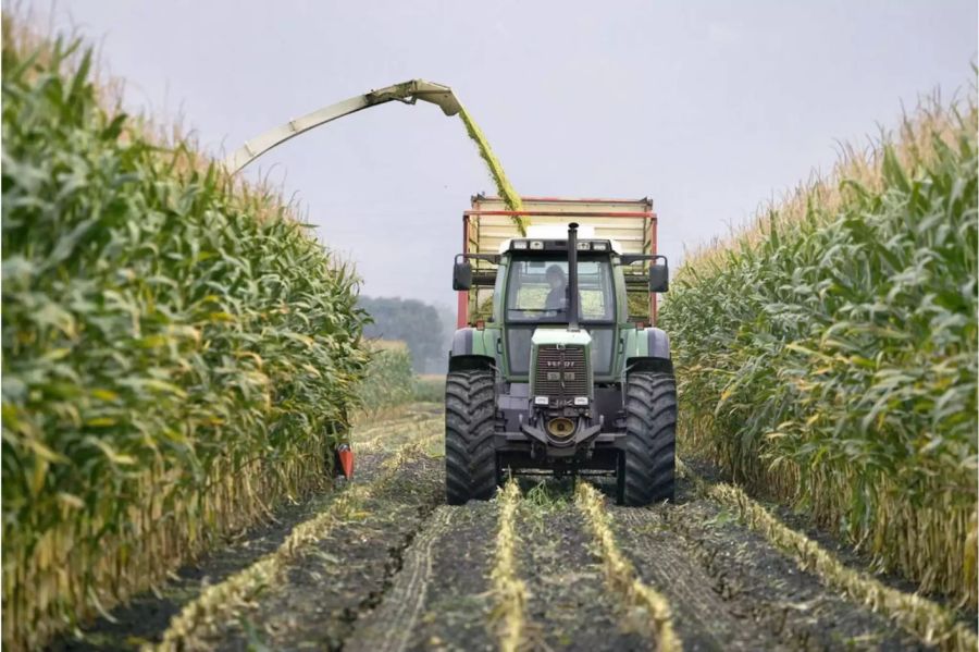 Bauer im Traktor beim Maisernten - Keystone