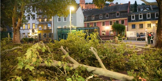 Abgebrochene Äste liegen nach dem Durchzug von Sturmtief Fabienne auf einer Strasse in Baden-Württemberg (D). Abgebrochene Äste liegen nach dem Durchzug von Sturmtief Fabienne auf einer Strasse in Baden-Württemberg (D).