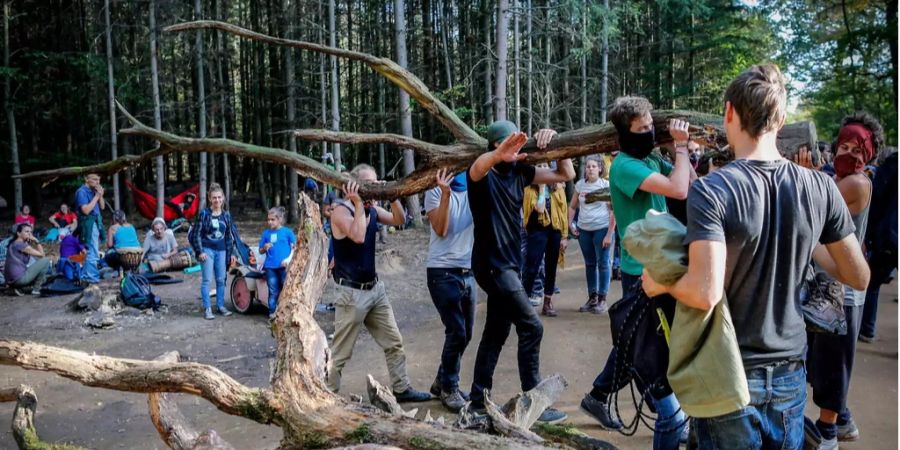 Aktivisten bereiten eine Barrikade im Hambacher Forst vor.