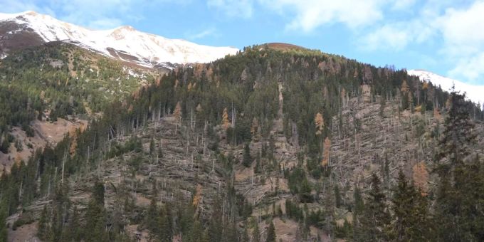 Der Kanton Graubünden investiert in eine effiziente Waldbrandprävention. Graubünden Wald