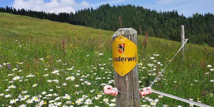 In Vechigen findet eine Gemeinde-Wanderung statt.