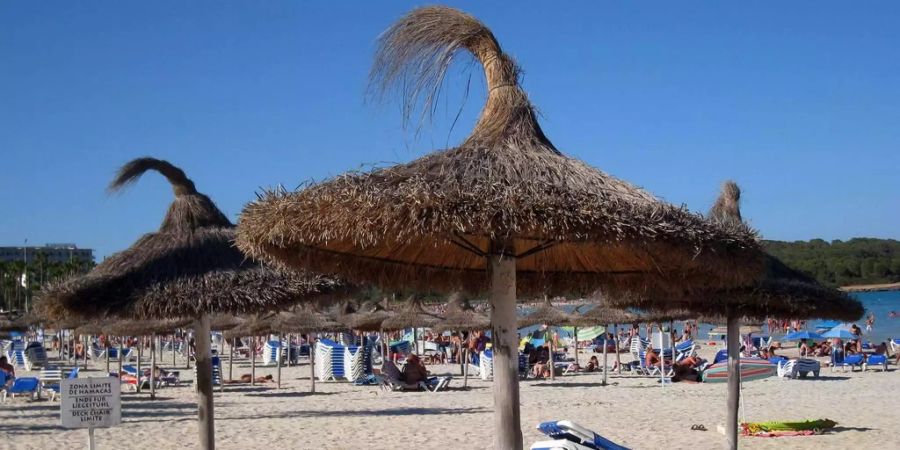 Leere Liegestühle am Strand von Sa Coma in Mallorca (ES).