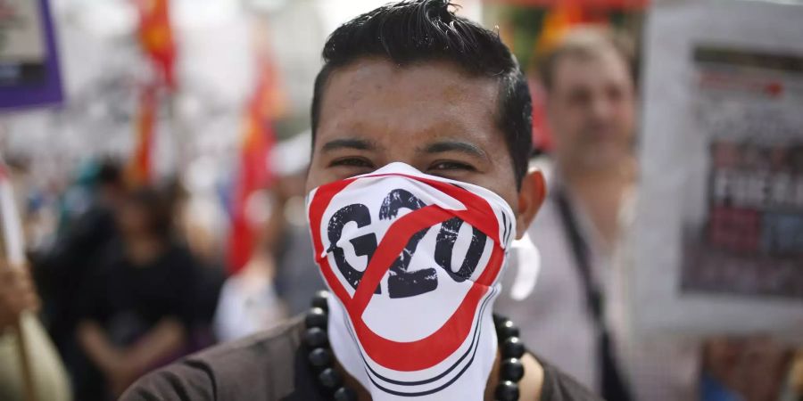 Ein vermummter Demonstrant nimmt an einem Protest gegen den G20-Gipfel teil.