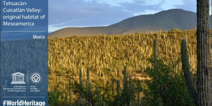Das Tehuacán-Cuicatlán-Tal in Mexico.