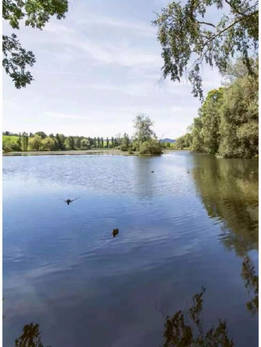 Ein historischer Moment: Der Bettenauer Weiher wechselt die Besitzerin.