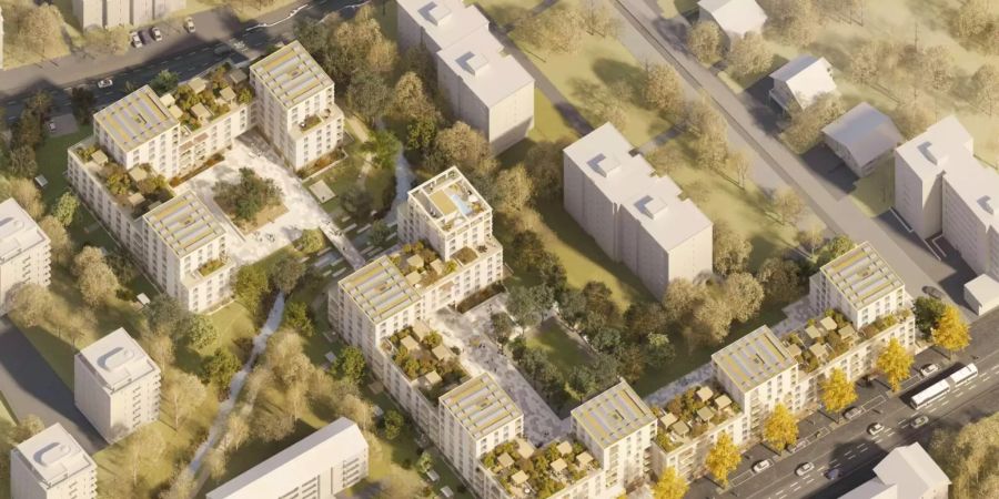 Ebikon startet die öffentliche Mitwirkung beim Bebauungsplan Sagenmatt (Bild: Nightnurse Images, AMAG).