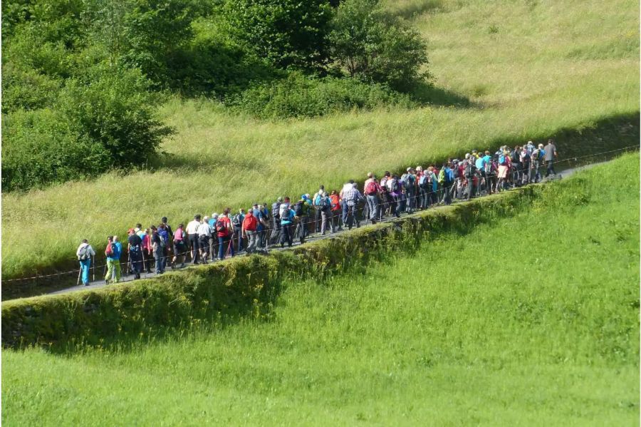 Mittlerweile wandern rund 80 Menschen mit Paul auf den Gotthard.